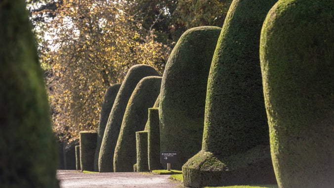 Y tocwaith yn yr ardd yng Nghastell y Waun, Wrecsam yn yr hydref.